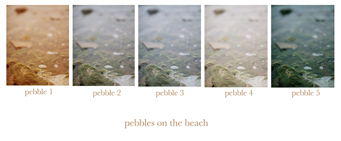 pebblesblog.jpg